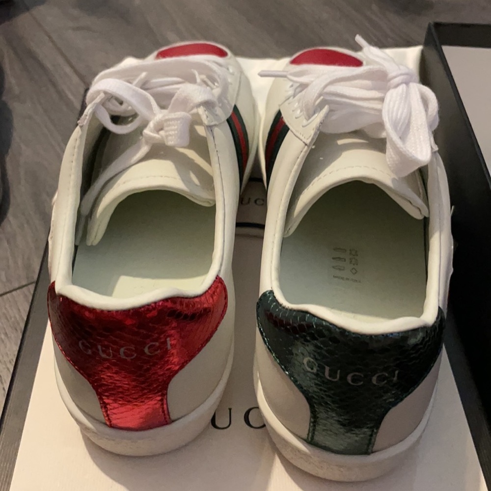 Brand new Gucci sneaker